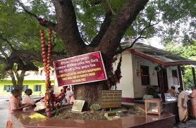 Yoga-pitha: The birth site of Sri Chaitanya - ISKCON Blog